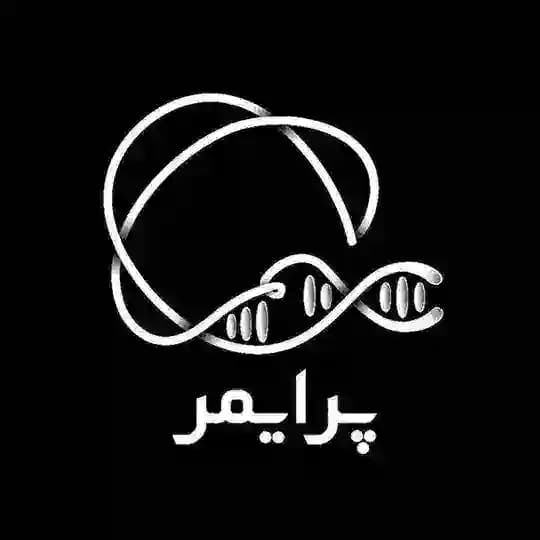 پرایمر | Primer