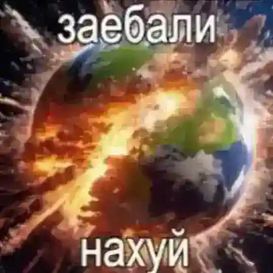Почему я ушла из пельмешки: пруфы от Блу