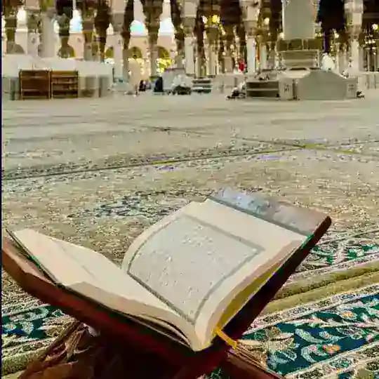 🌿 زاد القرآن الكريم 🌿