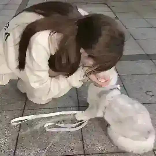 染月的文案馆