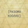 РИЗОМА КОЛЛАБ