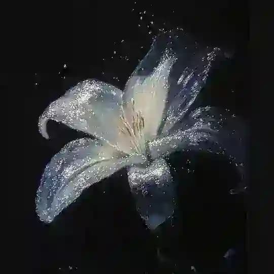 𝑵