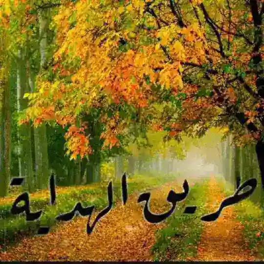 طريق الهداية