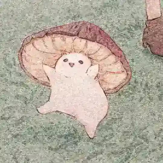 𝕊𝕙𝕒𝕞𝕡𝕚𝕟𝕠𝕟♪🍄
