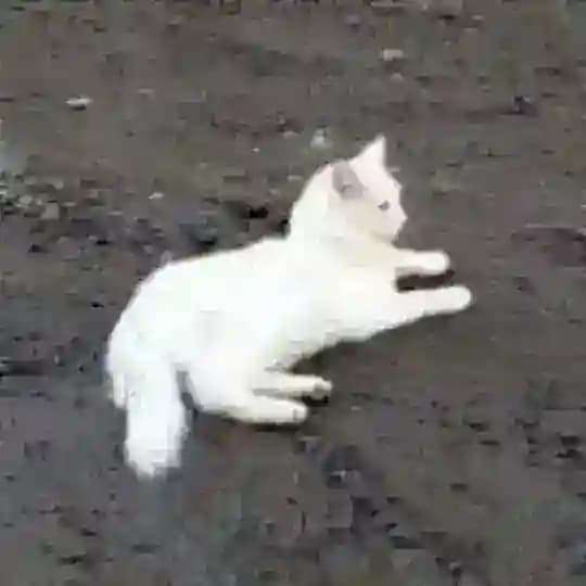 НеОбитель