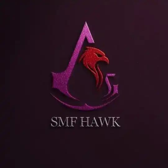 SMF HAWK YouTube Profile