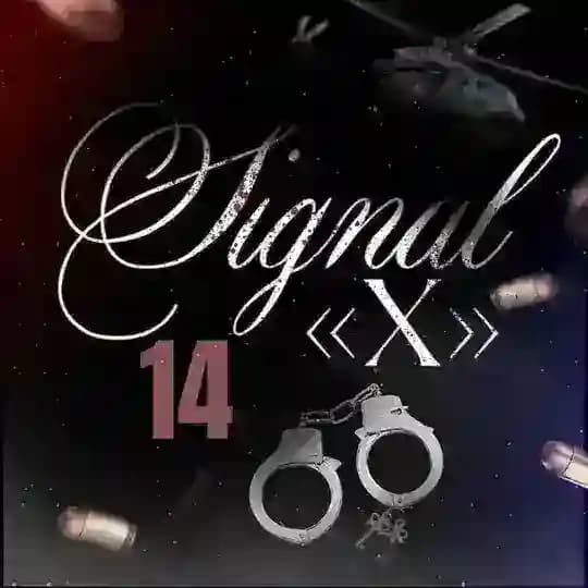ㅤ ⌑ ׅ ㅤ signal «X» - 14 ⥢࡙