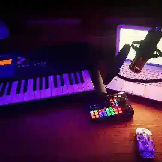 ✧・゚:* ℂℍ𝕀ℙ𝕆𝕃𝕀ℕ𝔸 *:・゚✧