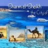 Sharm El Sheikh