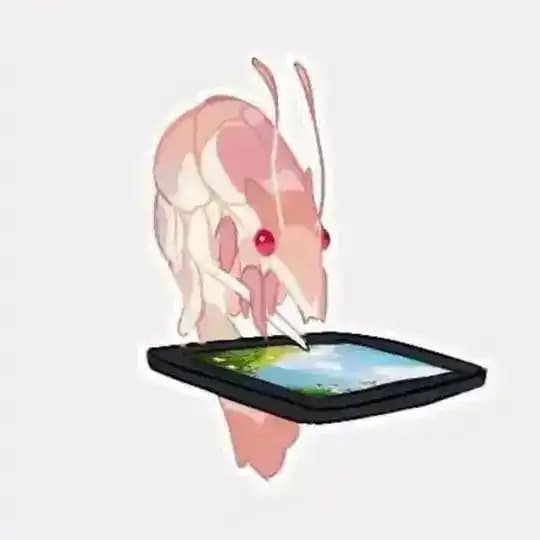 Шаря 🦐✨