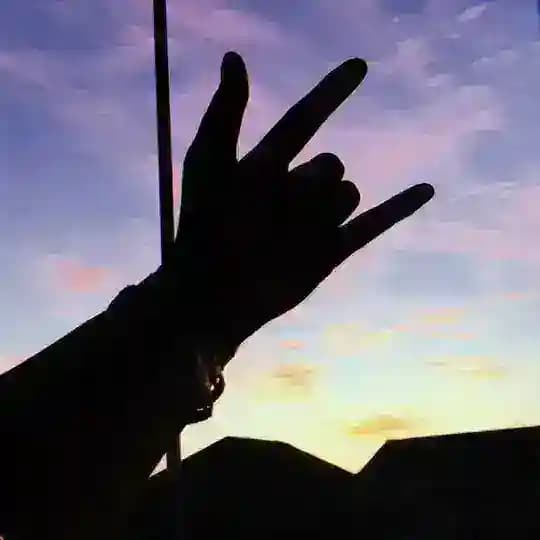 Sign language confession
