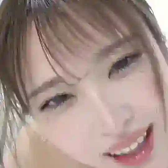 网黄资源共享