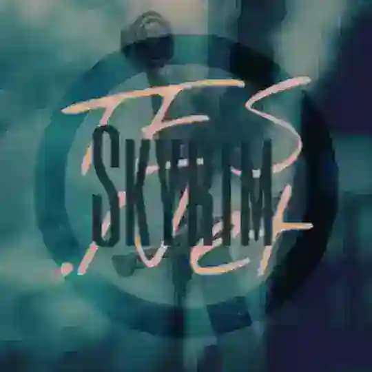 TES: Skyrim . NET