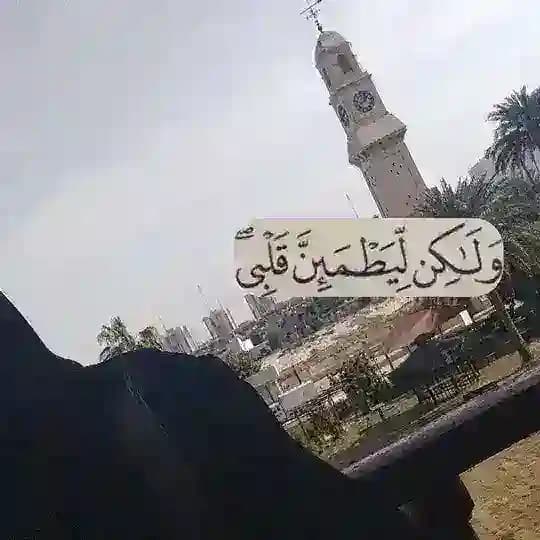 سُندُس🍂