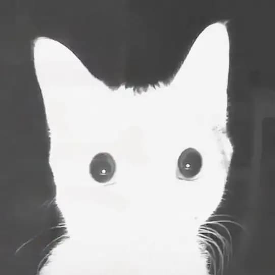 👁‍🗨乌黑 spyrooll