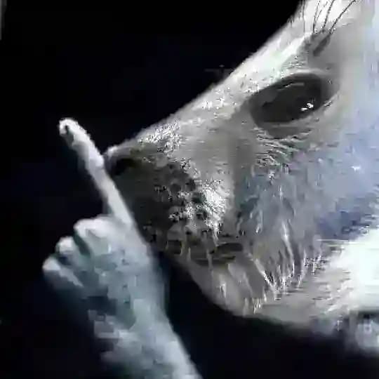 Поле Шпингалета🦭