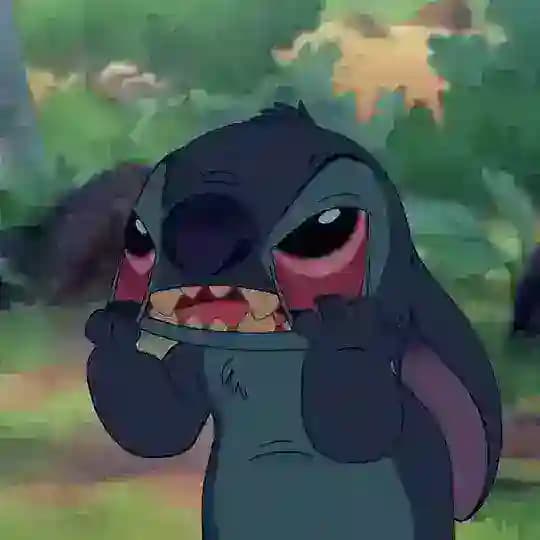 Stitch Ohana