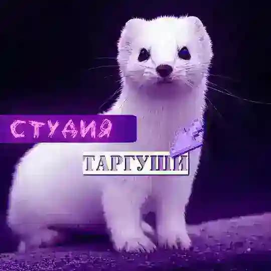 ꧁ ᴄᴛудия ᴛᴀᴩᴦуɯи ꧂