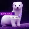 ꧁ ᴄᴛудия ᴛᴀᴩᴦуɯи ꧂