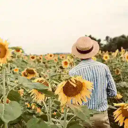 đťSunflower Boyđť