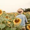 🌻Sunflower Boy🌻