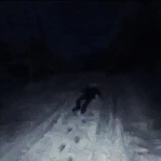 ,,,