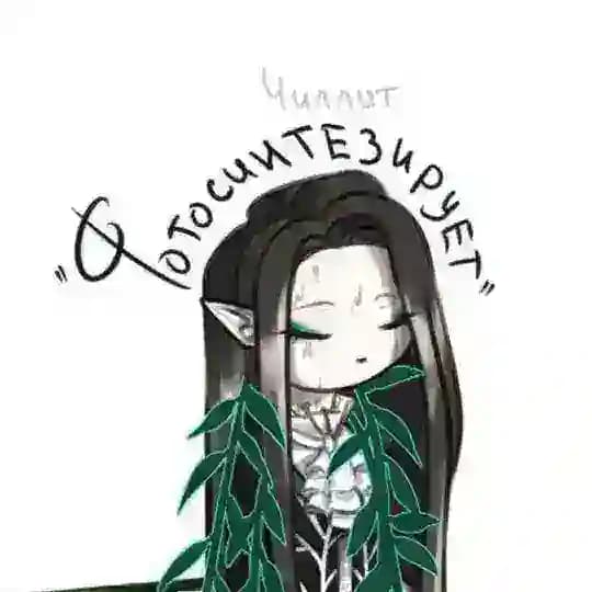 ᑕIᑕᗩᗪᗩ