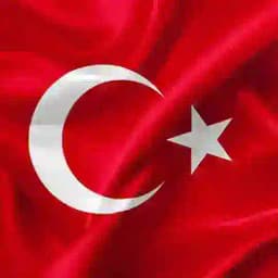 Турецкий язык | Turkish language Profile