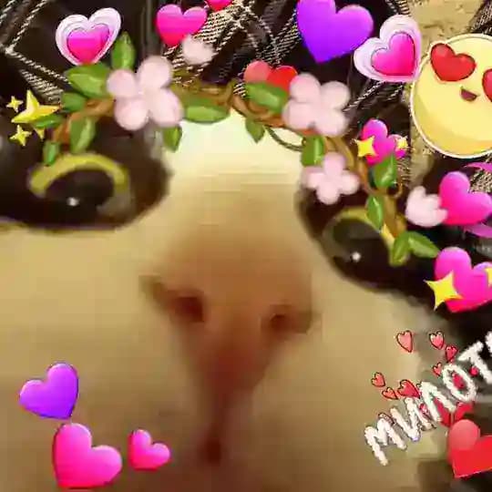~🍬Ирисковый беспредел🍬~