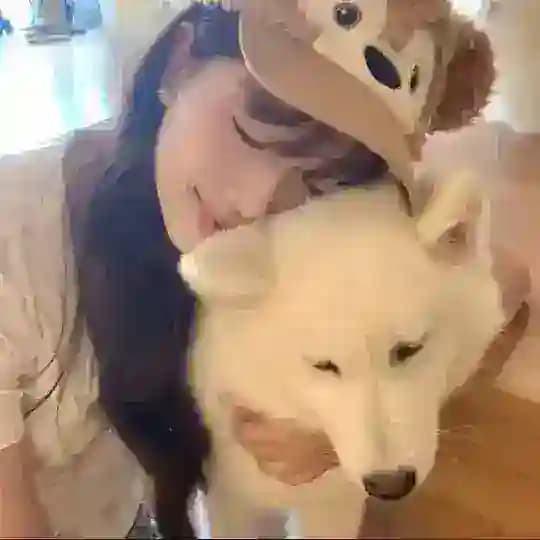 🐰嚕嚕的秘密基地