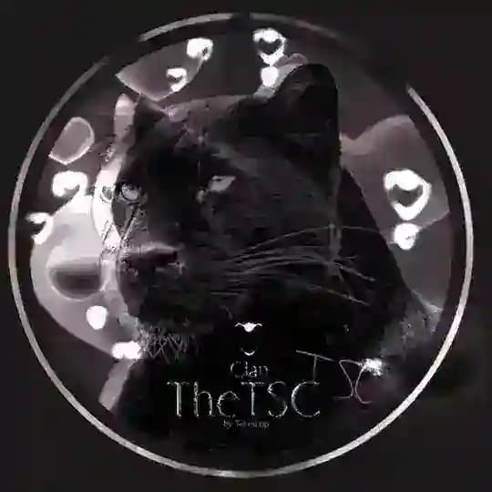 [ЗАМЕДЛЕНИЕ] TheTSC | Clan