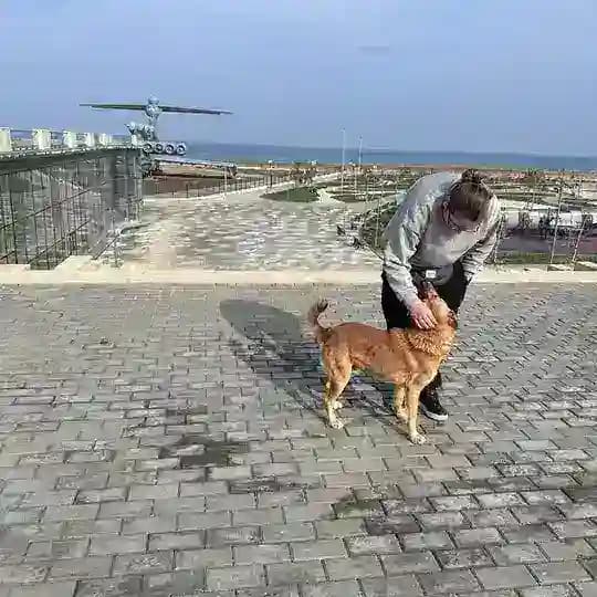 🦔Ёжик дальнобольщик🦔