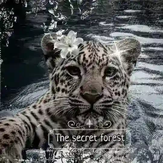 ~{🐾𝑇ℎ𝑒 𝑠𝑒𝑐𝑟𝑒𝑡 𝑓𝑜𝑟𝑒𝑠𝑡 𝑤𝑐}~ TSF