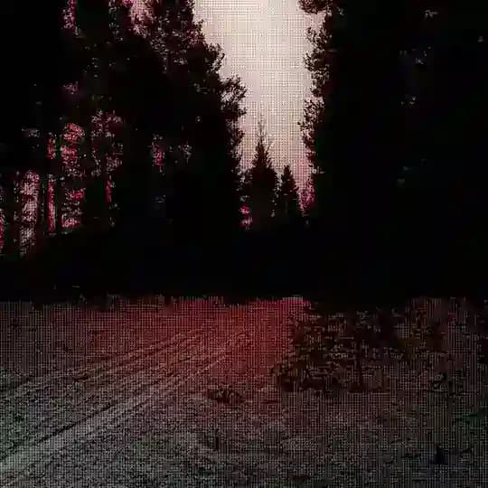 [полу рест]Sweet Dreams: TR:UD setka