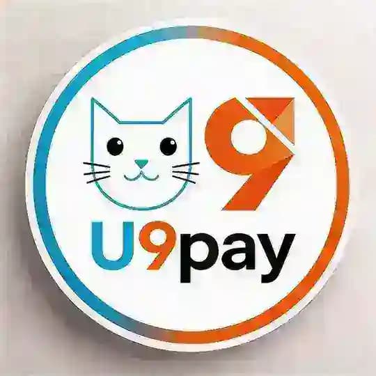 U9pay 海外源头支付