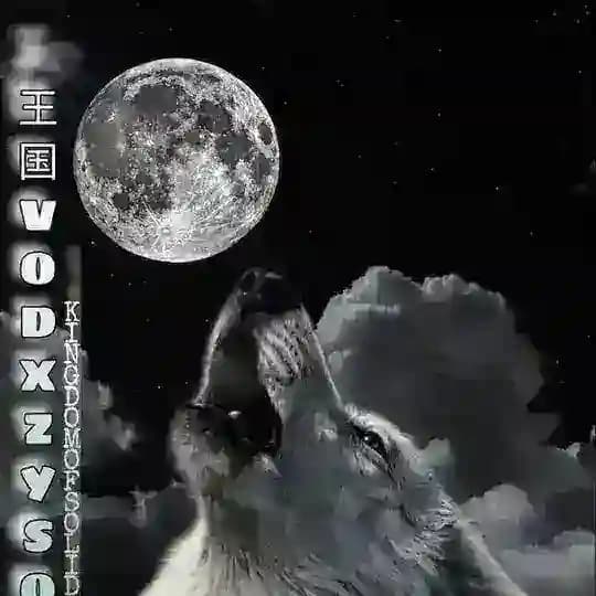 [𝗢𝗙𝗖] 𝗩𝗢𝗗𝗫𝗭𝗬