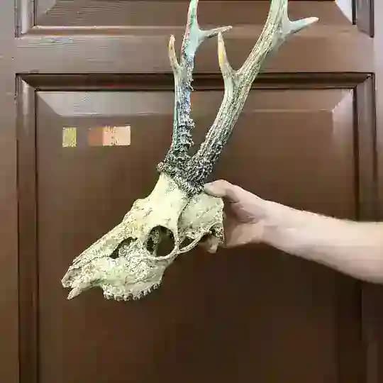 ВМЕСТЕ