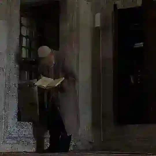 - سُويس،البرغثِي .