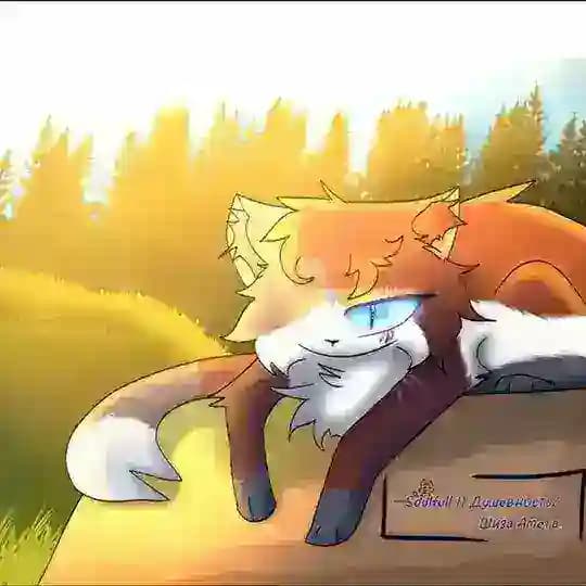 🌇Αρτ ϲτγɠμꤎ Βμωϰёɞӄμ🌇[Вᥴᥱ ɸд]