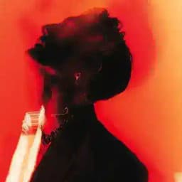 𝐕𝐢𝐤𝐭𝐨𝐫 𝐊𝐫𝐮𝐦'𝐬 𝐅𝐢𝐞𝐥𝐝 Profile