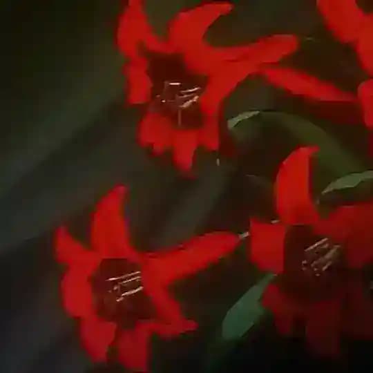 𝓕𝓻𝓪𝓷𝓬𝓾𝔃𝓼𝓴𝓲𝔂 𝓹𝓮𝓻𝓮𝓾𝓵𝓸𝓴✒✉