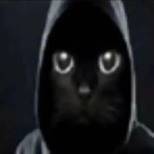 Бар Wammu