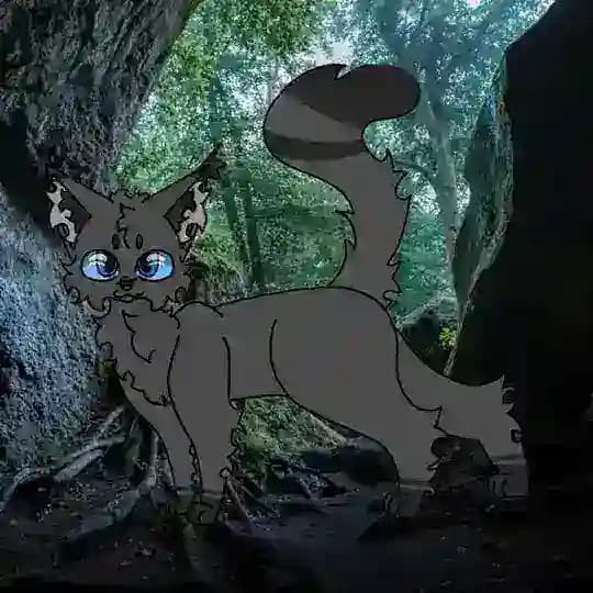 ⫷˚˙∘ 𐌿ᥱщᥱρᥲ Б᧘уждᥲющᥱᥔ Тᥱнᥙ ∘˙˚⫸