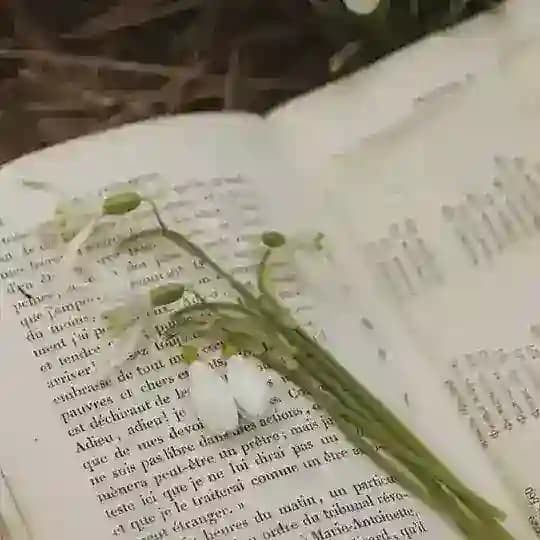 ~𝓦𝓪𝓷𝓷𝓪 𝔀𝓻𝓲𝓽𝓮 𝓪 𝓼𝓽𝓸𝓻𝔂 ~