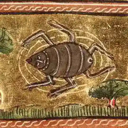Паук🕷️ | Лига Мечтателей