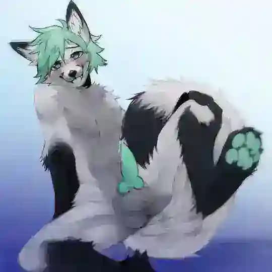 Yiff Corner💕