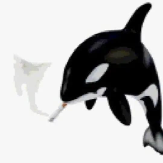 Zickorre