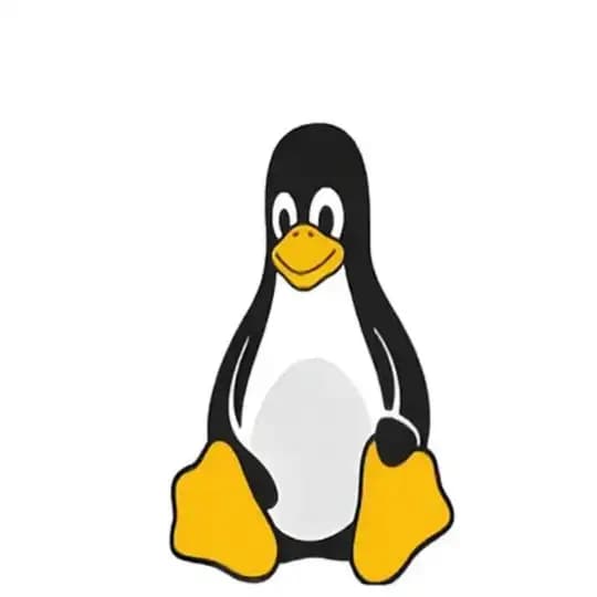 ZuanDroid Prjkt