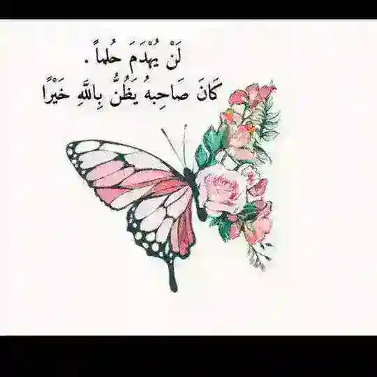 أكتب......🖌📖
