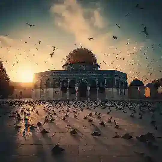 🇵🇸 فلسطين 🇵🇸